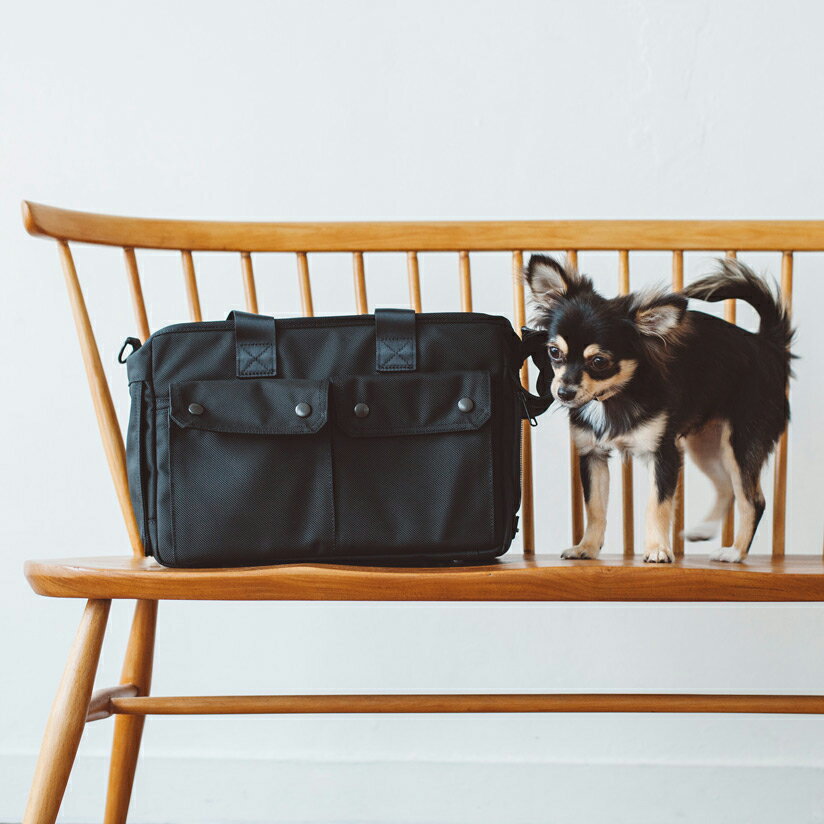  �� �L�����[ �y�b�g�L�����[ �h���C�u�{�b�N�X �� �L�����[ �L�����[�P�[�X �h�b�O �h���C�uBOX �n�E�X �V�����_�[ ���ł����@�h�� �Q�[�W�@���p�@���^���@�������@�h�b�O�@�V���v���@���{���@�ЊQ�@�v�[�h���@�`�����@���[�L�[�o���R�f�B �L�����[ S �T�C�Y