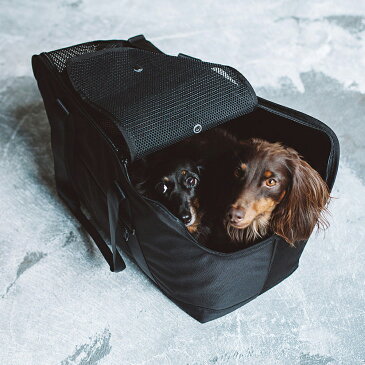 【犬 キャリー】バルコディ スクエア トート L サイズいぬ ドッグ 子犬 中型犬 かわいい おしゃれ シンプル トート バッグ かばん キャリーバッグ 日本製 日本 電車 病院 通院 旅行 お出掛け 豆柴 柴 ダックス ジャック キャバリア