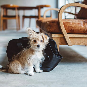 バルコディ スクエア トート S サイズ 犬用チワワ 小型犬 犬 ペット キャリーバッグ キャリーケース 犬用 バックパック ペットキャリー 軽量 バッグ おしゃれ 移動 旅行 車 メッシュ キャリーバック バック ペットキャリーバック お出かけ 子犬 パピー