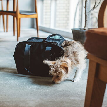 バルコディ スクエア トート S サイズ 犬用チワワ 小型犬 犬 ペット キャリーバッグ キャリーケース 犬用 バックパック ペットキャリー 軽量 バッグ おしゃれ 移動 旅行 車 メッシュ キャリーバック バック ペットキャリーバック お出かけ 子犬 パピー