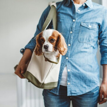 【犬 キャリーバッグ】スクエア トート ハンプ ツートン M サイズキャリーバッグ キャリーバック バッグ かばん 鞄 小型犬用 犬用品 ペット用品 動物 洗える 洗濯 日本 シンプル おしゃれ 人気 旅行 お出掛け ドッグカフェ 散歩