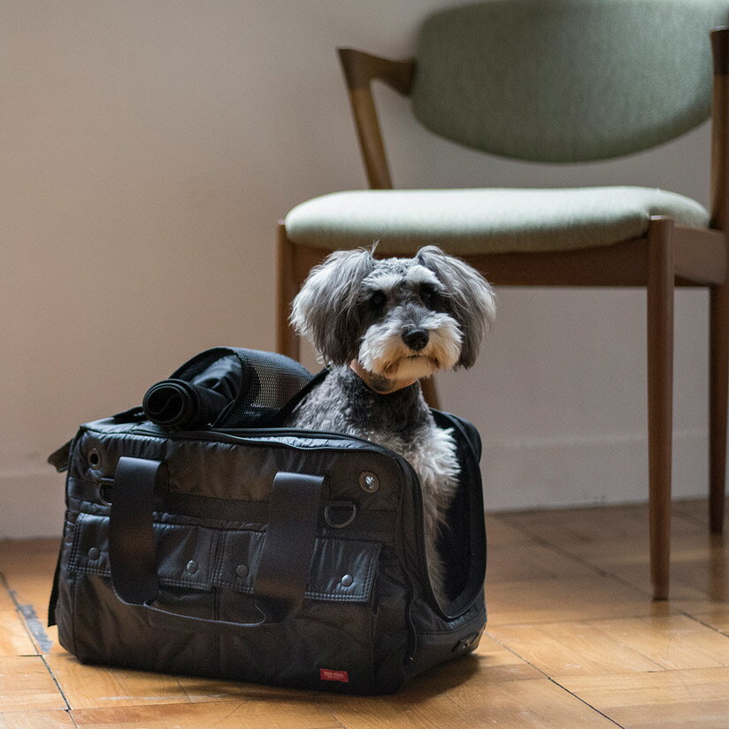 【送料無料】【犬 キャリーバッグ】DUCA ボストン M 犬用 キャリーバック carry bag