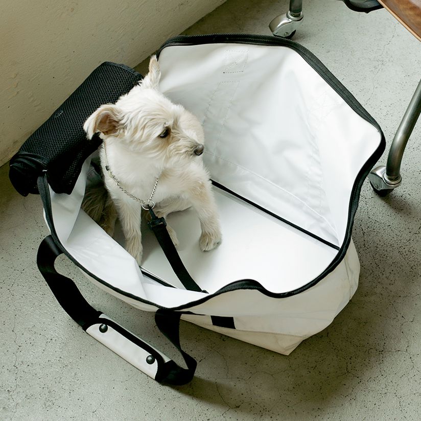 �ڸ� �٥åɡۥݡ����֥� ������٥å� ����С� LL