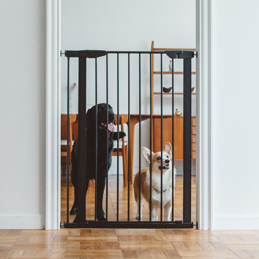 犬用ゲートおすすめ7選【おしゃれな室内用・脱走防止に】 | マイナビおすすめナビ
