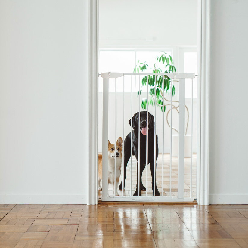 犬用ゲートおすすめ7選 おしゃれな室内用 脱走防止に マイナビおすすめナビ