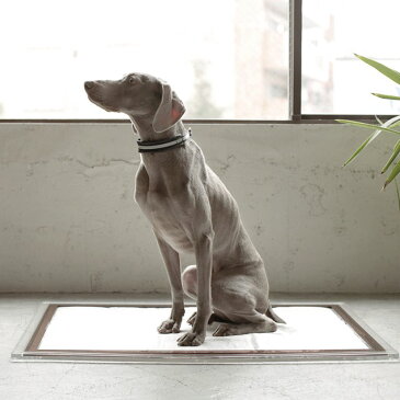 オリジナル アクリル トイレ トレイ L スーパーワイド 大型犬