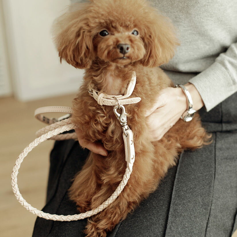 犬 リード 犬用品 革 オリジナル ヌメ革 ヌメウーブン しつけ リング リード S サイズ おしゃれ シンプル 日本製 皮 ヌメ革 かわいい ペット 小型犬
