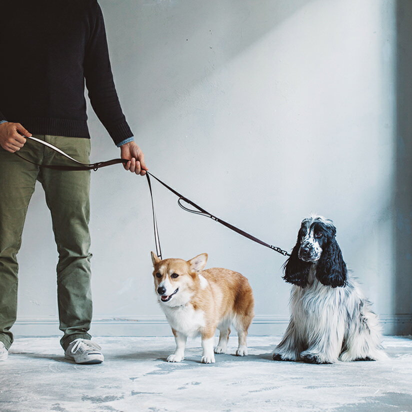 ■リフレクティブ マルチパーパス リード　M 小型犬から大型犬まで、犬のサイズに合わせて仕上げを微調整した多目的リード。TPOに合わせて長さを変えることはもちろん、ショルダー掛けにより両手が自由になるのも便利です。素材は丈夫なナイロンテープにリフレクティブ材を施し、スナップにはスウェーデン製BGBスナップを採用しました。視認性・強度共に安全性が高く、雨の日や人混みでの使用に役立ちます。 また金具部分には高品質の北欧でよく使用されているフォルムのスナップを採用し、 下地に低温黒色クロムメッキ、表面に黒色焼付塗装（硬質アクリル被膜）を施した、半光沢仕上げの特殊なブラックです。 この仕様により『耐摩耗性』『耐食性』『硬度』『耐薬品性』が向上し、塗装強度は潜水艦のスクリューの使用に耐え得るレベルにまで達しています。 ちょっとやそっとでは、傷すら付きにくい上品な半光沢の状態を長くお楽しみください。 ■リフレクティブマルチパーパスリードの各サイズはこちらから 【 S ・ M ・ L 】 カラー ブラック、ブラウン、カーキ サイズ S 全長 200cm 巾 10mm 重量 80g M 全長 200cm 巾 15mm 重量 125g L 全長 200cm 巾 20mm 重量 165g 素材 ポリエステル100％ 製造国 日本 特徴 ●光に反射するリフレクションで夜のお散歩も安全に ●幾通りの使用方法がありますので一番使いやすい方法をぜひ探してみてください 備考 ・ご使用方法により、リード中間の金具に指などがひっかかり、思わぬ事故につながる場合がございますのでお気を付けてご使用ください。 ・製造工程上、仕上り寸法が多少の誤差（10%前後）がございます。 ・同シリーズの同サイズ（テープ幅）の首輪との併用をお勧めいたします。 他シリーズ、他社製品と合わせてご利用される際は、ご使用前に金具の相性（捻りや張力）を確認してからご利用ください。 ■夜のお散歩も安心、光を反射するリフレクティブシリーズ ・リフレクティブカラー ・リフレクティブハーフチョーク ・リフレクティブリード ・リフレクティブハーネス ■水にぬれてもへっちゃらな犬具シリーズ ・フレッシュストライプカラー ・フレッシュストライプハーフチョーク ・フレッシュストライプリード ・フレッシュストライプショートリード そのほかにもシンプルでオシャレな犬具が揃っています ■人気の定番キャリーバッグ。近くの公園も、お車での遠出のお出かけにも ・バルコディスクエアトート　[S・M・L・LL] ・バルコディキャリー　[S・M・L・LL]（カーキ・ブラック） ■そのほかにもお出かけ用キャリーが揃っています　一覧はこちらから&nbsp; free stitch オリジナル リフレクティブ マルチパーパスリード M 小型犬から大型犬まで、犬のサイズに合わせて仕上げを微調整した多目的リード。TPOに合わせて長さを変えることはもちろん、ショルダー掛けにより両手が自由になるのも便利です。 また金具部分には高品質の北欧でよく使用されているフォルムのスナップを採用し、 下地に低温黒色クロムメッキ、表面に黒色焼付塗装（硬質アクリル被膜）を施した、半光沢仕上げの特殊なブラックです。 また素材は丈夫なナイロンテープにリフレクティブ材を施し、 [S・M・L]3サイズをご用意させていただきました。カラーやハーネスと合わせてコーディネートしてみてはいかがでしょうか。 A multi-purpose lead that features a reflective tape for night walks and for low visibility conditions. The lead can be adjusted to wrap around the owners body for a 'hands free' style and can also be adjusted to three different lengths. Larger sizes of the lead feature a handle for better control over the dog. &nbsp; &nbsp; &nbsp; &nbsp; 薄暗い場所で大活躍、リフレクティブ（再帰反射）ってどんな機能？ &nbsp; &nbsp; リフレクション（再帰性反射）とは、どの方向から光があたっても、光が入ってきた同じ軌道に反射するしくみです。 光を反射するリフレクションテープは、光源に向かって反射光が帰る性質がありますので、夜間、車のヘッドライトに鋭く反射し、ドライバーへの視認性を高め、自身の存在を知らせます。 つまり、元気なワンちゃんと夕暮れにお散歩したり、交通量の多い場所を通る時、または雨天の日のお散歩におすすめです。 &nbsp; マルチパーパスリードの使用例はこちら S M L サイズ事に持ち手が異なった使用方法 1番目に長い使用方法 2番目に長い使用方法 3番目に長い使用方法 半分に折る使用方法 2頭一緒の使用方法 肩がけにする使用方法 S M L