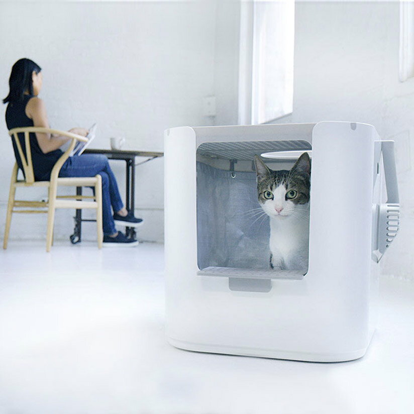 新発売の Modko Modkat Xl Litter Box猫 トイレ モデコ おしゃれ シンプル 大きい猫 モデキャット 超激安 Www Jsht Or Jp 新発売の Modko Modkat Xl Litter Box猫 トイレ モデコ おしゃれ シンプル 大きい猫 モデキャット 超激安 Www Jsht Or Jp
