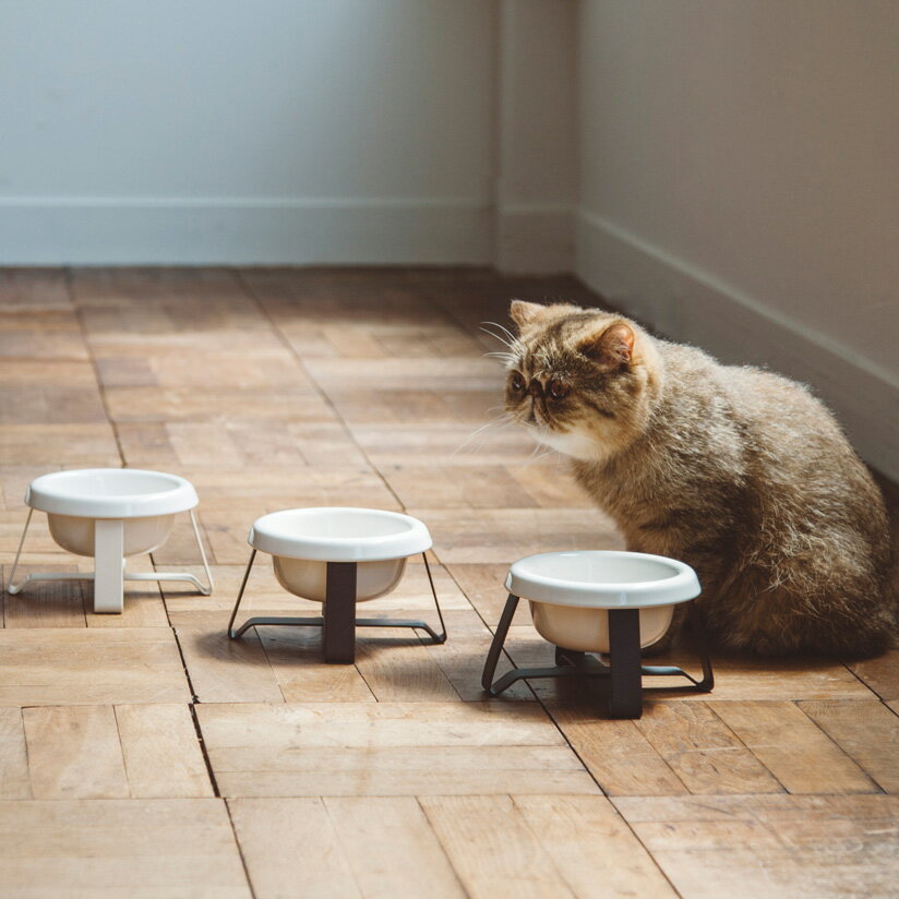 pecolo Food Stand S 陶器　フードボウルスタンド 猫　フードボウル