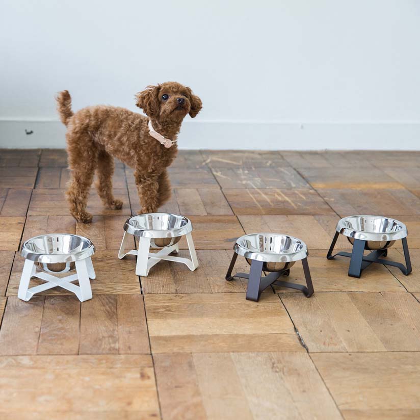 ペットフードボウル おしゃれなフードボウル 犬用 猫用 のおすすめランキング わたしと 暮らし