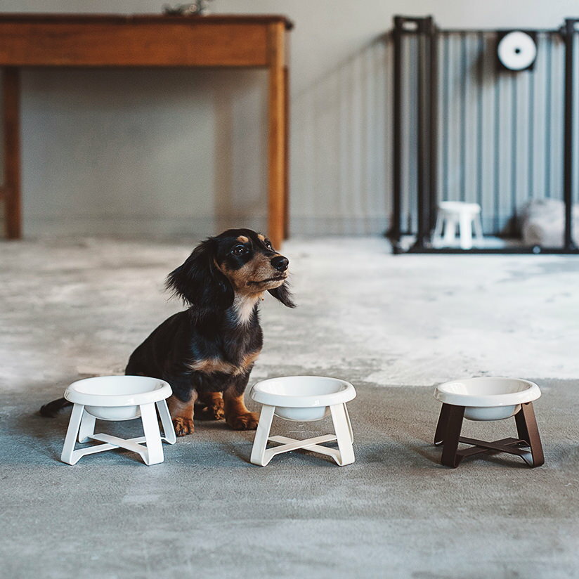pecolo Food Stand S 陶器浅型 (フードボウルスタンド) 犬　フードボウル