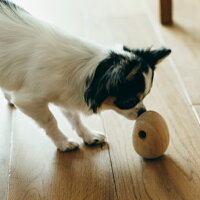 楽天市場 Replus リプラス 犬用 木製 知育おもちゃ たまごはん Free Stitch 楽天市場 Replus リプラス 犬用 木製 知育おもちゃ たまごはん Free Stitch