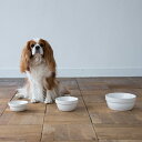 MESHIDAI GOHAN　BOWL S REPLUS　メシダイリプラス　メシダイ　ゴハン　犬　ドッグ　フードボウル　foodbowl　dog その1