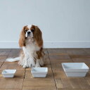 MESHIDAI MUKU　BOWL S REPLUSリプラス　メシダイ　ムク　犬　ドッグ　フードボウル　foodbowl　dog