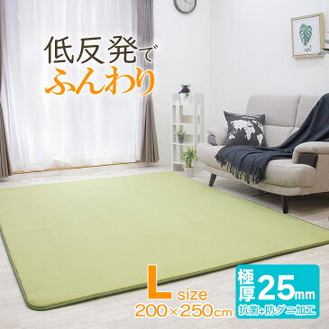 【抗菌 防ダニ】ラグ 低反発 ラグ 極厚25mm 200×250cm ラグ 厚手 滑り止め マット カーペット ホットカーペット対応 リビング 夏用