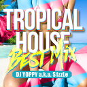【トロピカルHOUSEベスト!!】DJ YOPPY a.k.a. S1zzLe / Tropical House Best Mix [YOPCD-04]