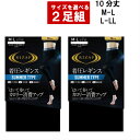 【2枚セット】(SUMMER TYPE) ライザップ RIZ...
