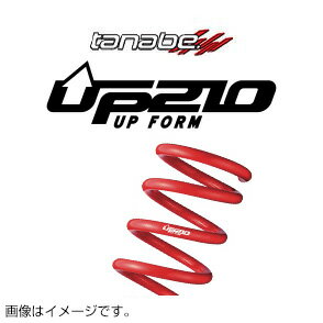 TANABE タナベ カスタムスプリング DEVIDE UP210 ディバイド アップ210 デリカD:5 CV1W 2019/2- CV1WMCUK 送料無料(一部地域除く)