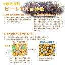 fujiengei:10002980のサンプル画像3