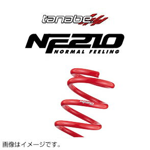 TANABE タナベ カスタムスプリング SUSTEC NF210 サステック エヌエフ210 エアウェイブ GJ1 2005/4-2010/8 GJ1NK 送料無料(一部地域除く)