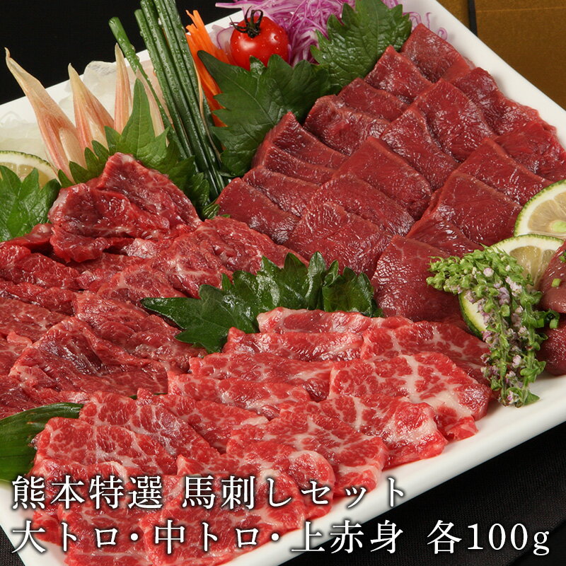 FJ 熊本馬刺し詰め合わせ2 【馬刺し 馬肉 送料無料 国産 馬刺 肉 赤身 ギフト おつまみ 冷凍 熊本 内祝..