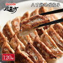 【母の日】【早割】風来坊 送料無料 八丁鶏味噌餃子 120個（名古屋 餃子 ぎょうざ ギョウザ 手羽餃子 八丁味噌 鶏肉 手羽先 手羽元 から揚げ 名古屋名物 お取り寄せグルメレンチン 手羽元唐揚 プレゼント 簡単調理）