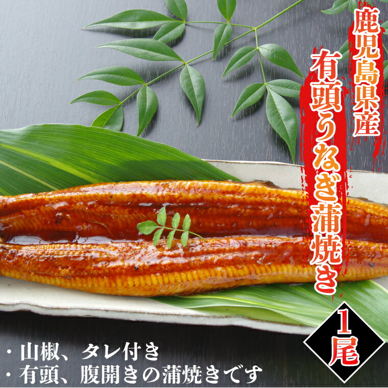 【送料無料】鹿児島県産 有頭 うなぎ 蒲焼き 200g 1尾 山椒・タレ付き 国産 鰻 腹開き 土用の丑の日