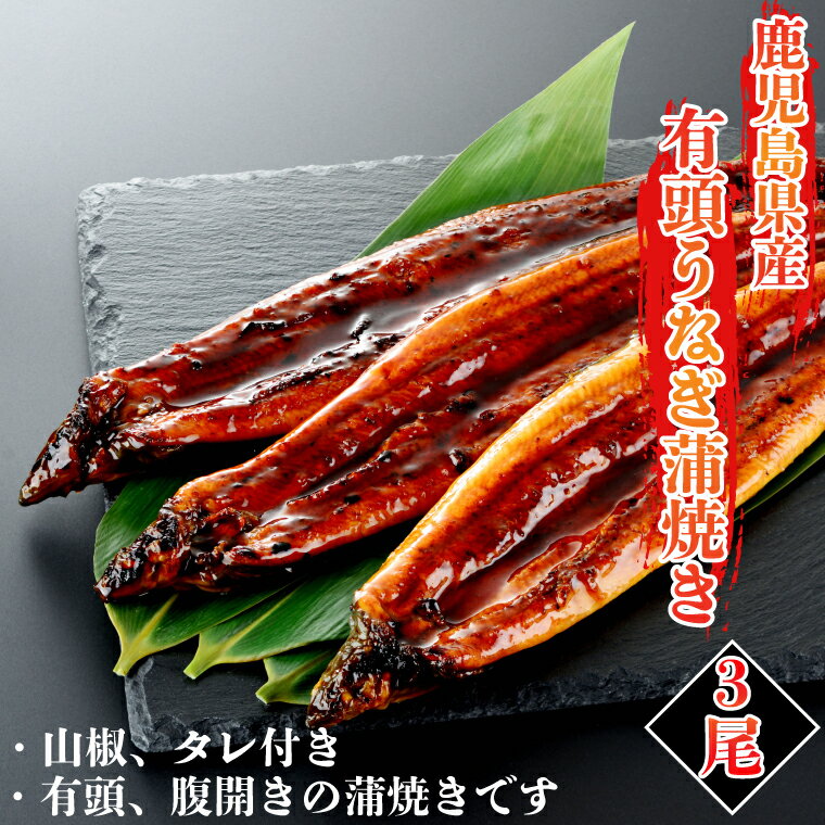 【送料無料】鹿児島県産 有頭 うなぎ 蒲焼き 200g 3尾 山椒・タレ付き 国産 鰻 腹開き 土用の丑の日