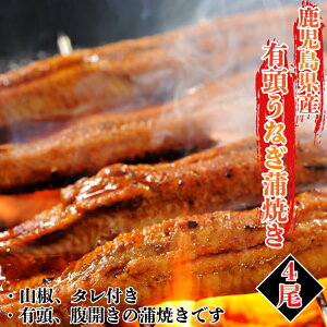 【腹開きうなぎ】関西風で美味しい鰻のおすすめは？