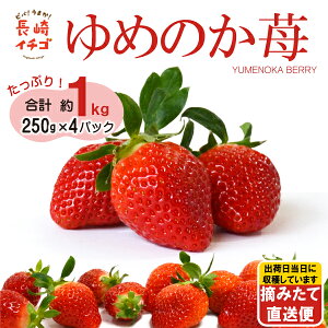 ＼ポイント2倍／ 送料無料 長崎県産 ゆめのか いちご ストロベリー 苺 誕生日 ケーキ用いちご 甘い 菓子用 イチゴ 生食 果物 長崎県 島原 産地直送 39ショップ