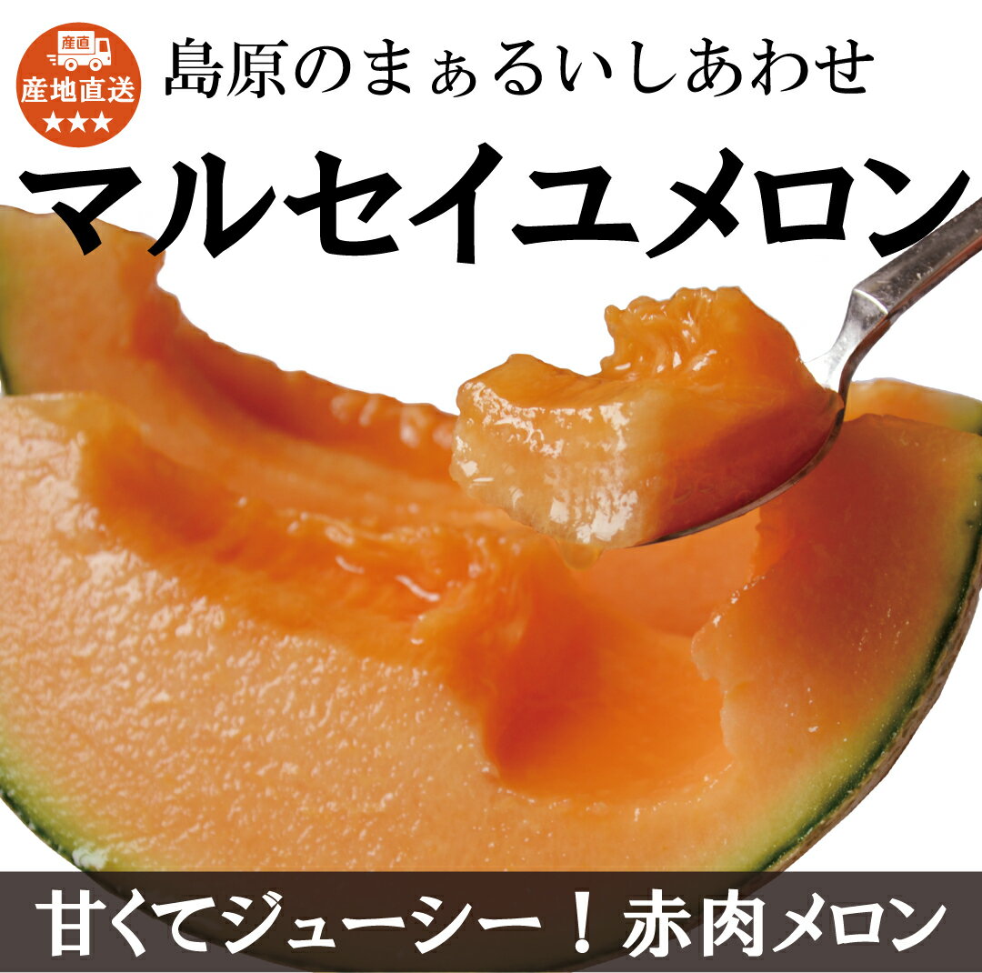 【送料無料】 メロン マルセイユメロン 赤肉メロン ギフト 果物 夏ギフト 今だけ 産地直送 2L 2玉入 甘い プレゼント 贈り物 フルーツ お取り寄せ 旬 希少 糖度 17度 以上 長崎県 島原 大玉 数量限定 【6月上旬より順次発送】