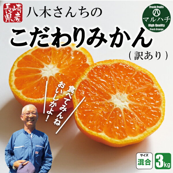 みかん 送料無料 訳あり みかん 3kg 南柑・青島 出荷時に一番旬な品種を出荷します 1月中旬より順次発送 みかん 甘い ギフト 贈り物 フルーツ 果物 復興 応援 長崎県 島原 産地直送