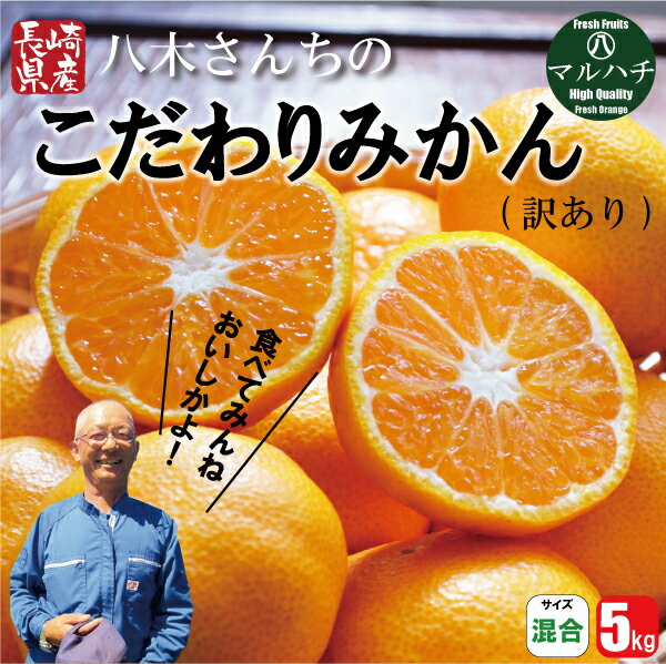 みかん 送料無料 訳あり みかん 5kg 南柑・青島 出荷時に一番旬な品種を出荷します 1月中旬より順次発送 みかん 甘い ギフト 贈り物 フルーツ 果物 復興 応援 長崎県 島原 産地直送