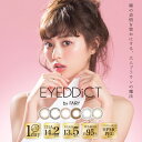 【ワンデー】アイディクトバイフェアリー(1箱10枚入)1DA...