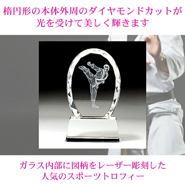 空手トロフィー クリスタル 空手 記念品 表彰楯 テコンドー 昇段 昇級 空手大会 卒業 大会 優勝トロフィー 優勝カップ 表彰メダル 大会 少年空手 社会人 賞品 景品 空手部 道場 先生 コーチ 監督 主将 プレゼント 部活 引退 卒業 卒部 優勝 表彰 武道 スポーツ ガラス 811-g [2]