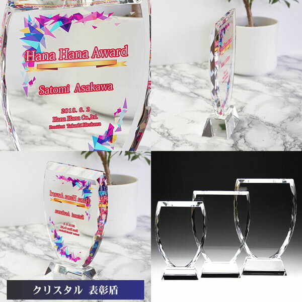 ガラス 表彰盾 (中) クリスタル ガラス 盾 トロフィー 記念品 景品 表彰品 認定証 感謝状 周年記念 創立記念 社内表彰 退職祝い 認定証 卒業記念品 優勝 表彰 卒業 感謝状 表彰状 スポーツ大会 コンペ ゴルフコンペ スポーツ イベント おしゃれ ガラス製 ブロンズ dp-1-b