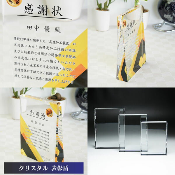 ガラス 表彰盾 (大) クリスタル ガラス 盾 トロフィー 記念品 景品 表彰品 認定証 感謝状 周年記念 創立記念 社内表彰 退職祝い 認定証 卒業記念品 優勝 表彰 卒業 感謝状 表彰状 スポーツ大会 コンペ ゴルフコンペ スポーツ イベント おしゃれ ガラス製 ブロンズ dp-17-a [2]