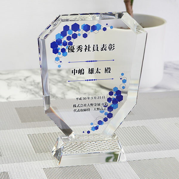 表彰盾 名入れ 企業表彰 社内表彰 取引先表彰 記念品 ガラス クリスタルガラス dp-2 [2]