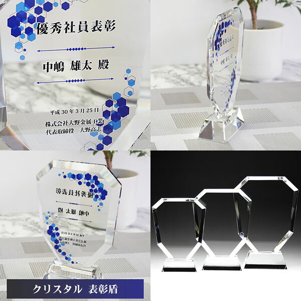 表彰盾 名入れ 企業表彰 社内表彰 取引先表彰 記念品 ガラス クリスタルガラス dp-2 [3]
