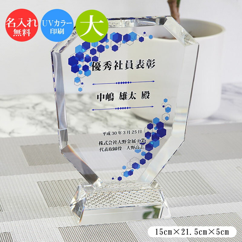 ガラス 表彰盾 (大) クリスタル ガラス 盾 トロフィー 記念品 景品 表彰品 認定証 感謝状 周年記念 創立記念 社内表彰 退職祝い 認定証 卒業記念品 優勝 表彰 卒業 感謝状 表彰状 スポーツ大会 コンペ ゴルフコンペ スポーツ イベント おしゃれ ガラス製 ブロンズ dp-2-a