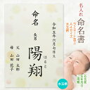命名書 命名紙 水玉柄 名入れ お名前+生年月日+ご両親 オーダー お祝い 男の子 女の子 記念 出産 ベビー 赤ちゃん 新生児 名付け祝い お七夜 孫 人気 ...