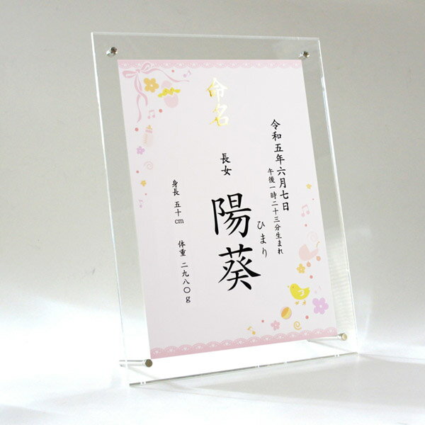 命名書 女の子用 お名前＋生年月日＋出生時刻＋身長体重 アクリルフレーム 名入れ オーダー お祝い 記念 出産 ベビー 赤ちゃん 新生児 名付け祝い お七夜 孫 人気 プレゼント 出産祝い ピンク A4サイズ