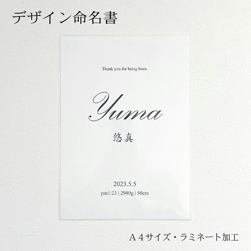 ̿̾ ̿̾ ץ ̾  ˤ ˤλ λ ǰ л ٥ӡ ֤  ̾դˤ  ¹ ͵ ץ쥼 лˤ A...