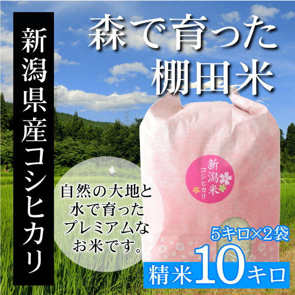 サンプル画像2