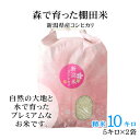 新潟米コシヒカリ 白米（精米） 10kg（5kg×2袋）新潟産こしひかり 森で育ったお米 棚田米 プレミアム米 新潟産 産地直送 お祝い、ギフト、贈答に ご自宅、ご家庭、お弁当にも 新米