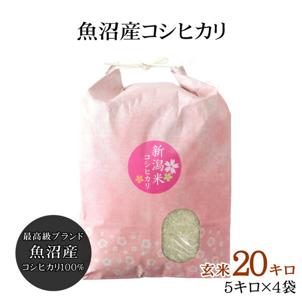 魚沼産 コシヒカリ 玄米 20kg（5kg×4袋） 新潟 魚沼産こしひかり 産地直送 お祝い ギフト 贈答 ご自宅 ご家庭 お弁当にも 新米