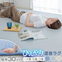 【本日全品ポイント5倍】 ラグ 極厚 30mm 遮音 冷感ラグ 高反発 1.5畳 2畳 3畳 130×190 190×190 190×240 ひんやり 接触冷感 ラグマット 3cm 夏用 滑り止め付 マット ラグカーペット 夏 カーペット 防音 長方形 正方形 絨毯 25S024