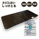 竹炭入り除湿シート・防カビ・防臭 カビにおいしっけとる【今だけ価格!】