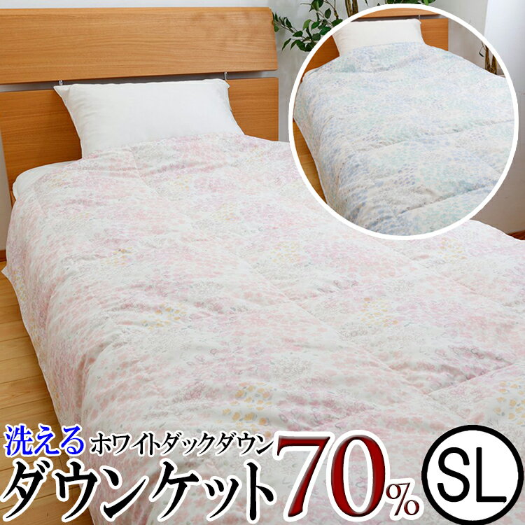 モリリン 布団・快眠グッズ フランス産羽毛洗えるダウンケット2